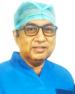 Dr Debapi Roy