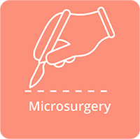Hand Microsurgery